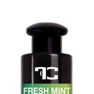 FC0200 PARFUM ESSENCE fresh mint, esencja zapachowa